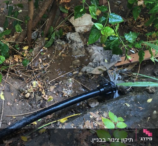 צינור מים שחור עם דליפה בגינה
